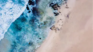 广阔的海滩图片_5