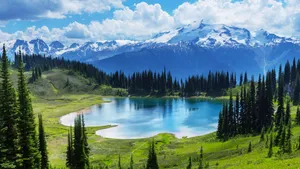 森林湖泊风景图片_3