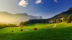 瑞士阿尔卑斯山风景图片_10