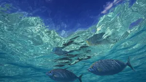 深海鱼群_8
