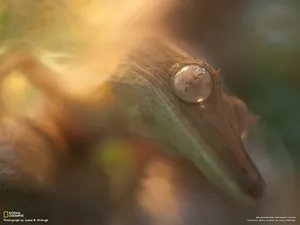 世界地理动物篇 第三辑_15