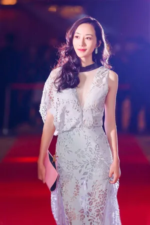 韩雪深V长裙活动现场迷人写真图片_3
