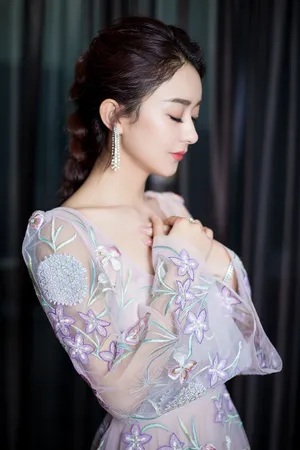 赵丽颖蕾丝礼服性感图片_5