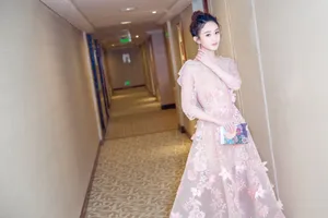 赵丽颖粉色礼服长裙性感图片