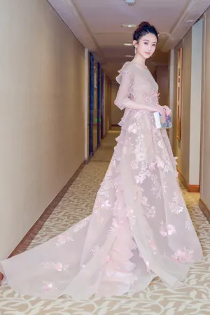 赵丽颖粉色礼服长裙性感图片_4