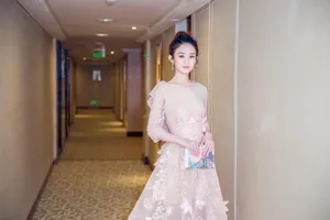 赵丽颖粉色礼服长裙性感图片_5