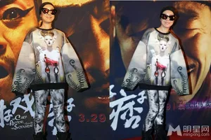 谢娜袁姗姗明星奇葩装束雷照大放送谢娜图片袁珊珊图片_13