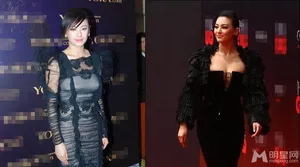 谢娜袁姗姗明星奇葩装束雷照大放送谢娜图片袁珊珊图片_14