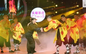 百变大咖秀掀功夫风谢娜扮演叶问英气足谢娜图片_16