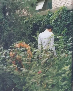 王菲07年杂志拍摄图片_5