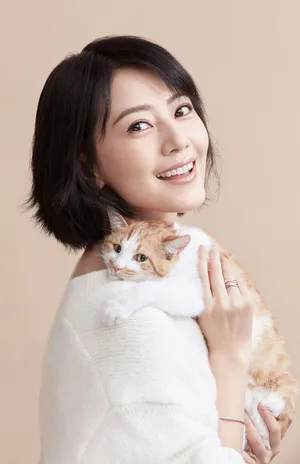 高圆圆温婉动人写真图片