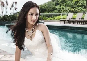 咱们结婚吧热播高圆圆领衔众女星新娘妆大对决_14