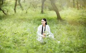 迪丽热巴古装照图片_5