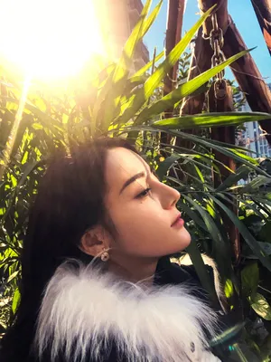 迪丽热巴超美侧脸自拍图片