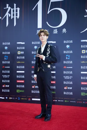 鹿晗慈善晚会活动照图片_6