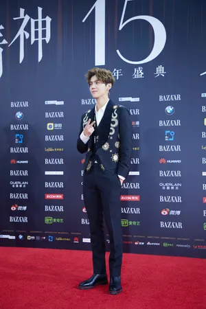 鹿晗慈善晚会活动照图片_7