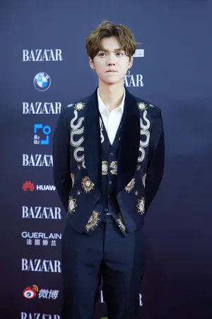 鹿晗慈善晚会活动照图片_10
