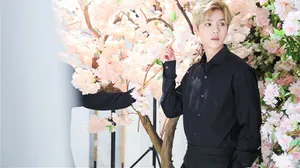 鹿晗清新迷人美图_3
