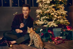 魅力男神胡歌花式逗猫图片_3