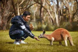 黄晓明全球旅游形象大使澳大利亚写真图片_2