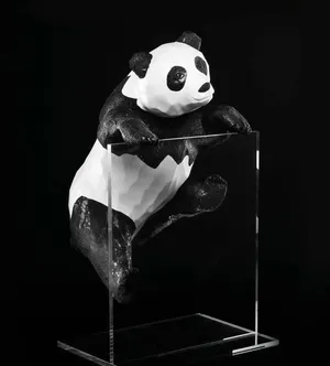 周迅黄晓明携众星拍公益写真为大熊猫筹款_5