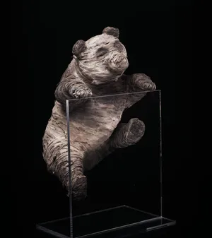 周迅黄晓明携众星拍公益写真为大熊猫筹款_11