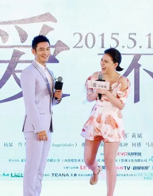 电影《何以笙箫默》发布会黄晓明baby玩壁咚_13