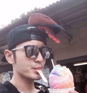 黄晓明Angelababy私照甜蜜同游夏威夷图片_10
