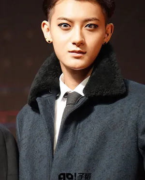 2014年12月MAMA颁奖典礼EXO现场大放异彩黄子韬图片