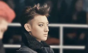 2014年12月MAMA颁奖典礼EXO现场大放异彩黄子韬图片_2