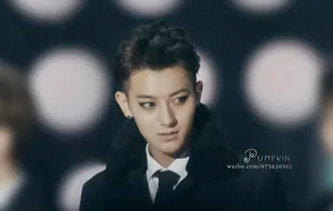 2014年12月MAMA颁奖典礼EXO现场大放异彩黄子韬图片_13