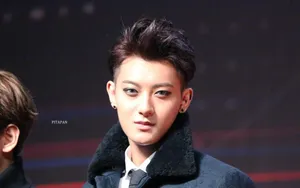 2014年12月MAMA颁奖典礼EXO现场大放异彩黄子韬图片_16