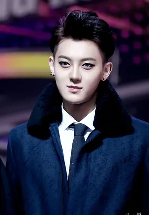 2014年12月MAMA颁奖典礼EXO现场大放异彩黄子韬图片_17