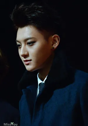 2014年12月MAMA颁奖典礼EXO现场大放异彩黄子韬图片_25