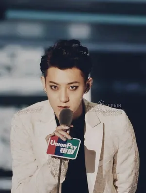 2014年12月MAMA颁奖典礼EXO现场大放异彩黄子韬图片_32