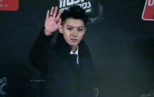 2014年12月MAMA颁奖典礼EXO现场大放异彩黄子韬图片_35