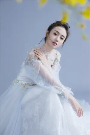郑合惠子花嫁版清新迷人写真图片_5