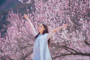 娄艺潇图片：十里桃花清新浪漫_2