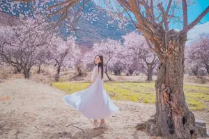 娄艺潇图片：十里桃花清新浪漫_3