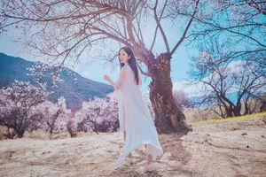娄艺潇图片：十里桃花清新浪漫_4