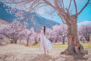 娄艺潇图片：十里桃花清新浪漫_6