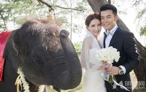 陈赫结婚照全曝光文章何炅谢娜娄艺潇齐祝福_9
