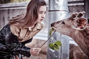 宋祖儿时尚杂志写真图片：化身丛林少女_3