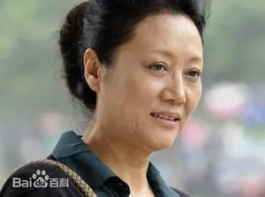 《丈母娘来了》王丽云剧照图片