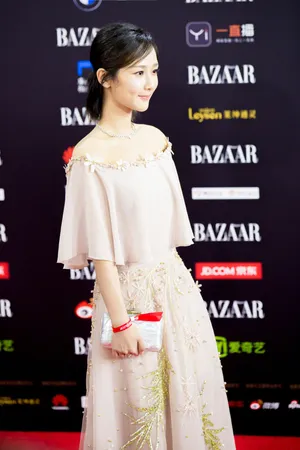 杨紫芭莎慈善夜红毯写真_4