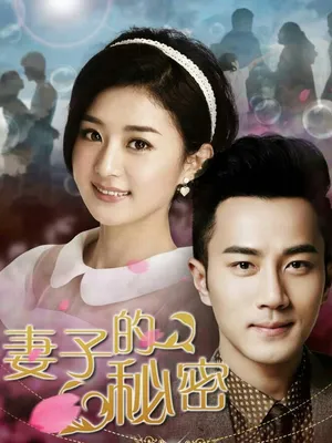 王智《妻子的秘密》剧照海报图片_3