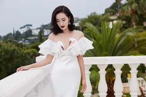 王智戛纳电影节天鹅礼服靓丽迷人写真_4