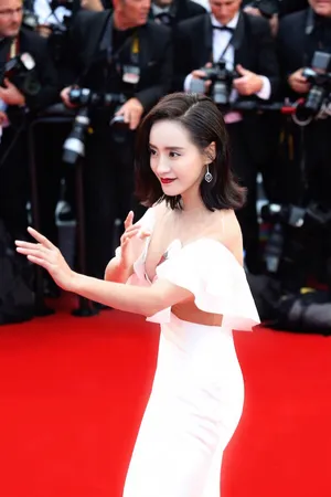 王智戛纳电影节天鹅礼服靓丽迷人写真_6