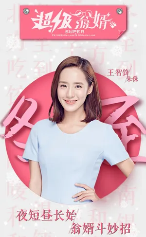 王智《超级翁婿》海报图片