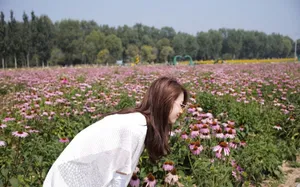 陈瑶花园街拍唯美写真